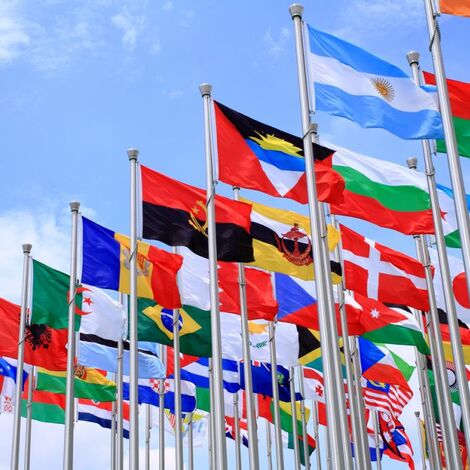flag